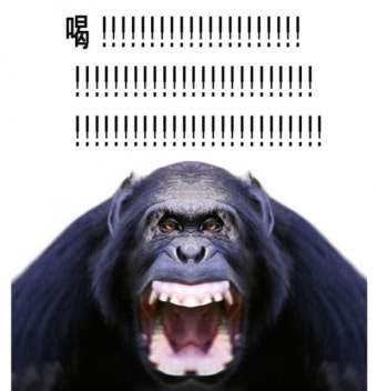 속마음 표출권